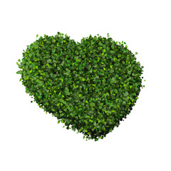 Fototapeta na wymiar Heart made from green leaves.