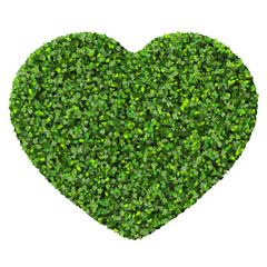 Heart made from green leaves.