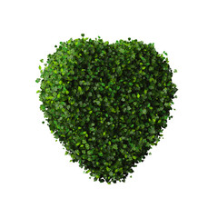 Heart made from green leaves.