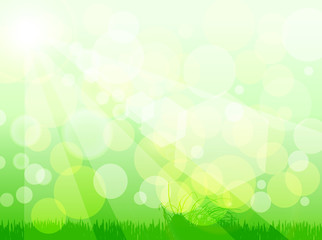 Fototapeta na wymiar green bokeh background, nature with sun beams, vector