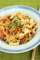 nouilles chinoises et poulet