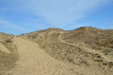 dunes in nature reserve, France
