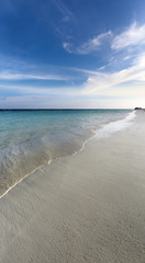 Tropical landscape