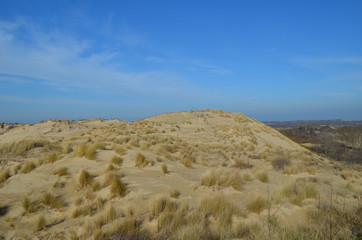 dune in nature reserve, France