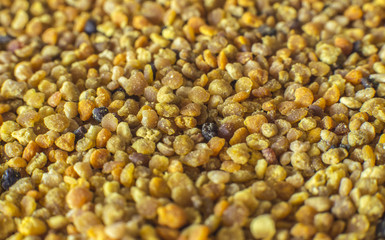 Pollen granules background - macro photo