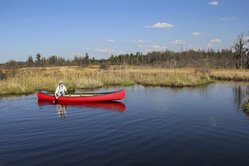 Canoeing in the Okefenokee Swamp -Georgia