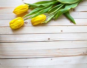 Yellow  tulips