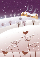 Winter and birds