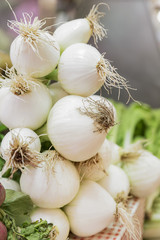 Fresh green onions on display at a farmers market.
