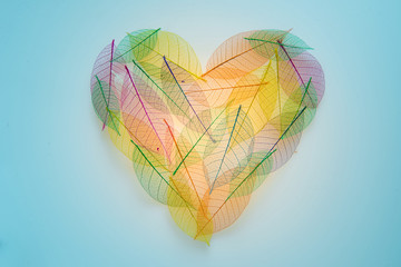 Heart shaped color leaves transparent texture