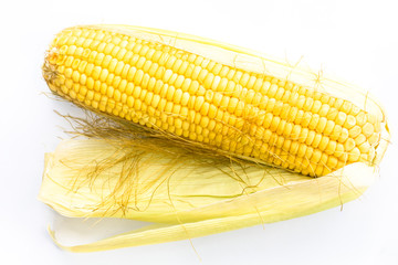 ear of corn isolated on a white background