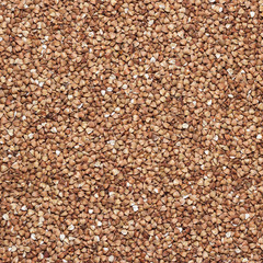 buckwheat background