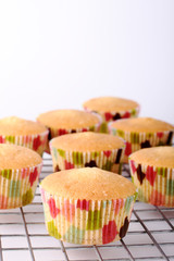 Fresh baked cupcakes without decoration