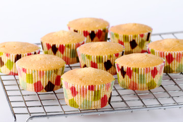 Fresh baked cupcakes without decoration