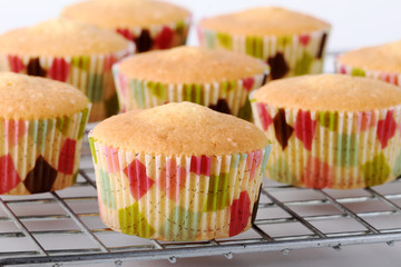 Fresh baked cupcakes without decoration