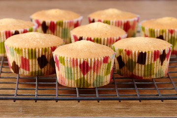 Freshly baked muffins served on cooling rack
