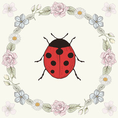 Floral frame and ladybird