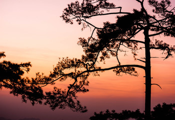 Naklejka premium Phukradueng national park