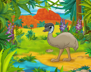 Cartoon scene - wild america animals - caricature - emu - illustration for the children