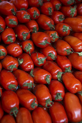 Perfect Shaped tomatoes full frame at the Vegetable Market in Pa