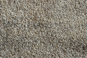 Sheepskin background texture