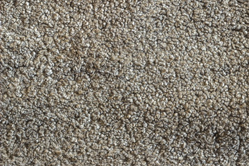 Sheepskin background texture