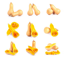 Cross section of a pumpkin