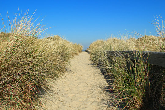 Nordsee Landschaft Küste Seegras Sandstrand