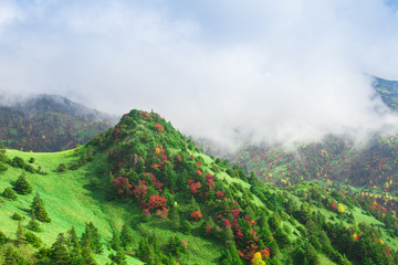 雲湧く紅葉の高原