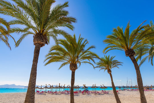 Platja de Alcudia beach in Mallorca Majorca