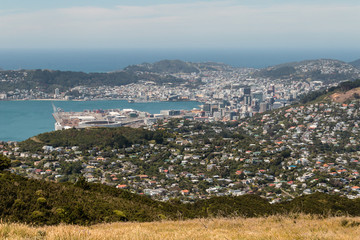 aerial view of Wellington harbor in New Zealand © Patrik Stedrak