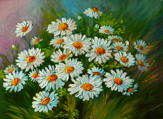 Oil Painting - abstract illustration of flowers, daisies, greens