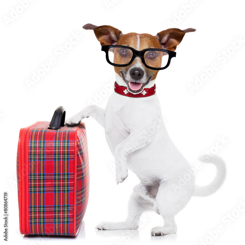 "dog with luggage" Stockfotos und lizenzfreie Bilder auf
