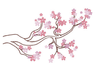 Obraz na płótnie Canvas Blooming Sakura Branch