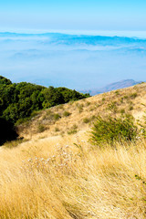 Summer landscape in the mountains, field landscape