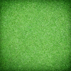Beautiful green grass texture