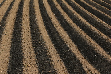 furrows in a field agriculture, soil