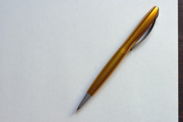 sheet of paper and golden pen -2