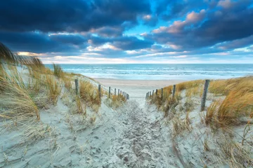 Photo sur Aluminium Mer du Nord, Pays-Bas path on sand to beach at sunset