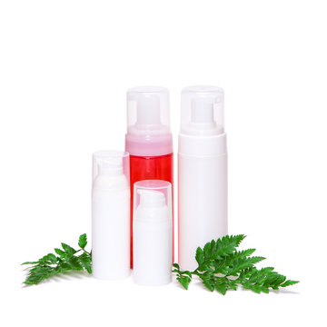 Skincare products with green fern leaves