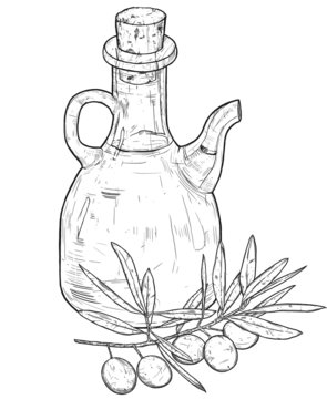recommend clip art: Hand drawn line art illustration of olive oil with olive branch