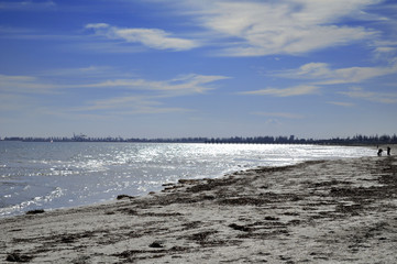 Australian Beach