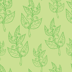 Fototapeta premium Seamless pattern of blueberry