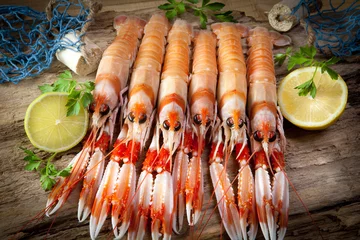 Crédence de cuisine en verre imprimé Crustacés Crayfish