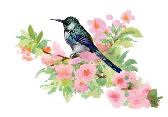 Watercolor illustration of bird on branch with pink flowers