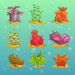 Cartoon algae, isolated underwater elements