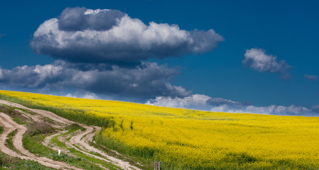Obraz premium Road lane in mountain and deep blue sky.