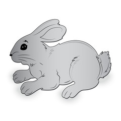 Rabbit, vector, illustration