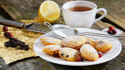 Madeleine  cookies with cranberries and chocolate