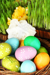 Easter eggs in basket and green grass close-up